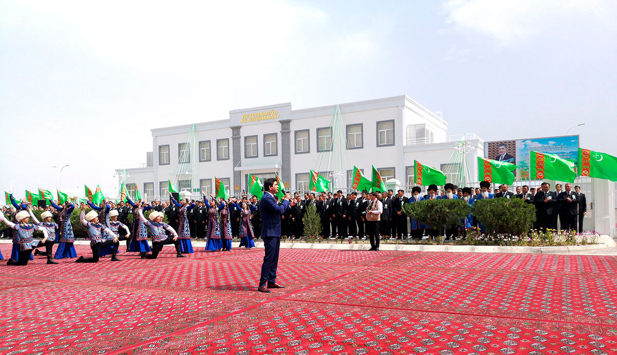 В Туркменистане создаётся современная инфраструктура по сохранению и развитию породных качеств алабая 