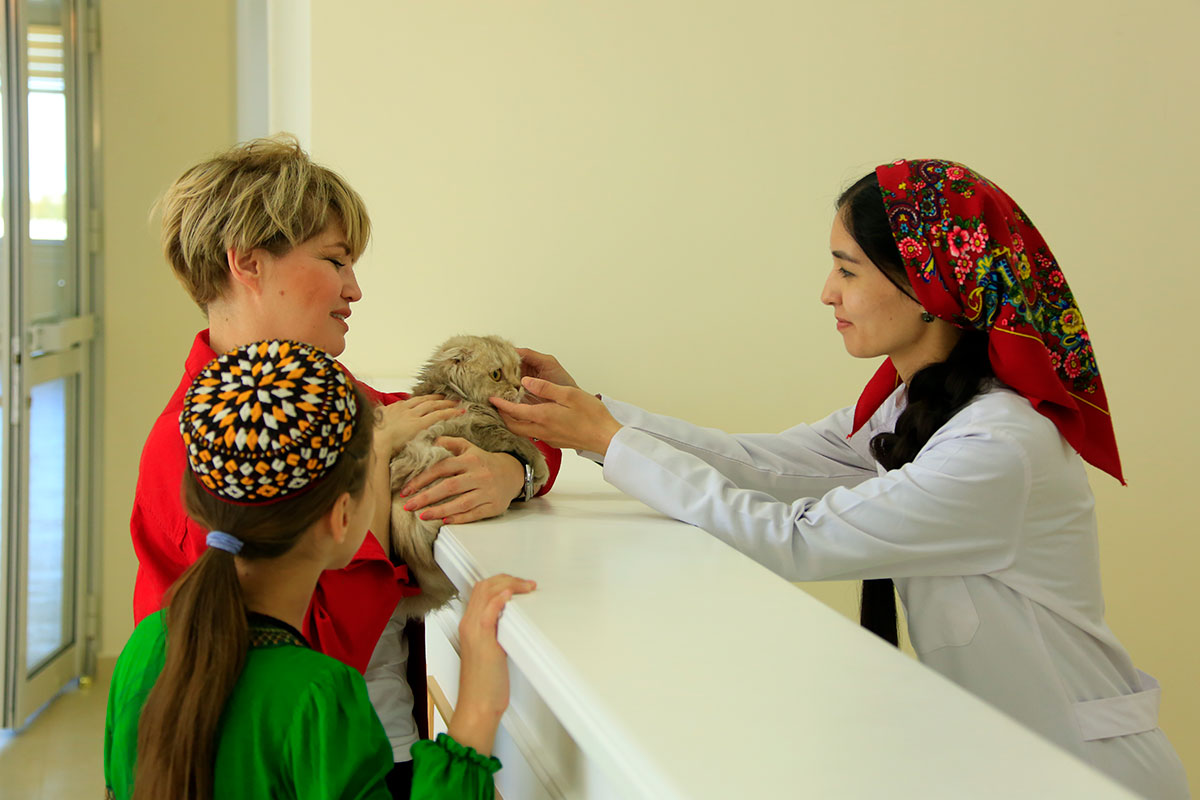 Ветеринарная клиника в Анау: новое слово в обслуживании домашних питомцев 