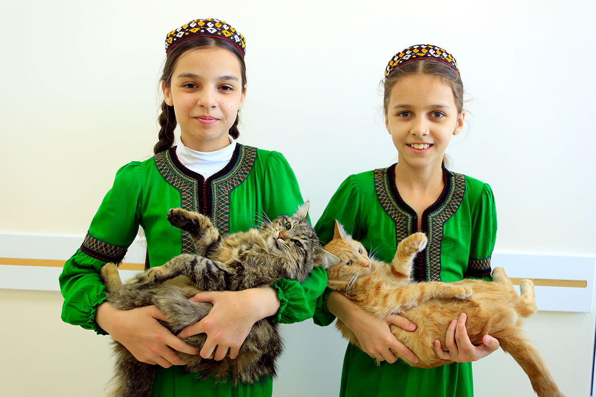 Ветеранам, вдовам погибших и труженикам тыла вручена юбилейная медаль в честь 75-летия Великой Победы 