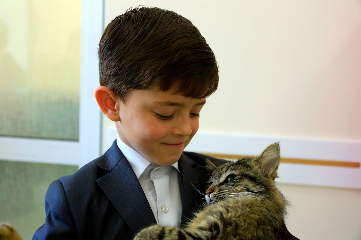 Vet clinic in Anau: New Word in service of home pets 