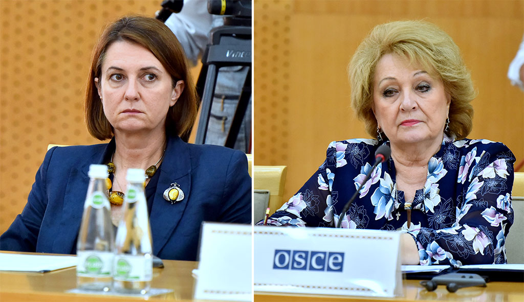 Briefing at the Ministry of Foreign Affairs: Turkmenistan takes comprehensive efforts to prevent dangerous diseases