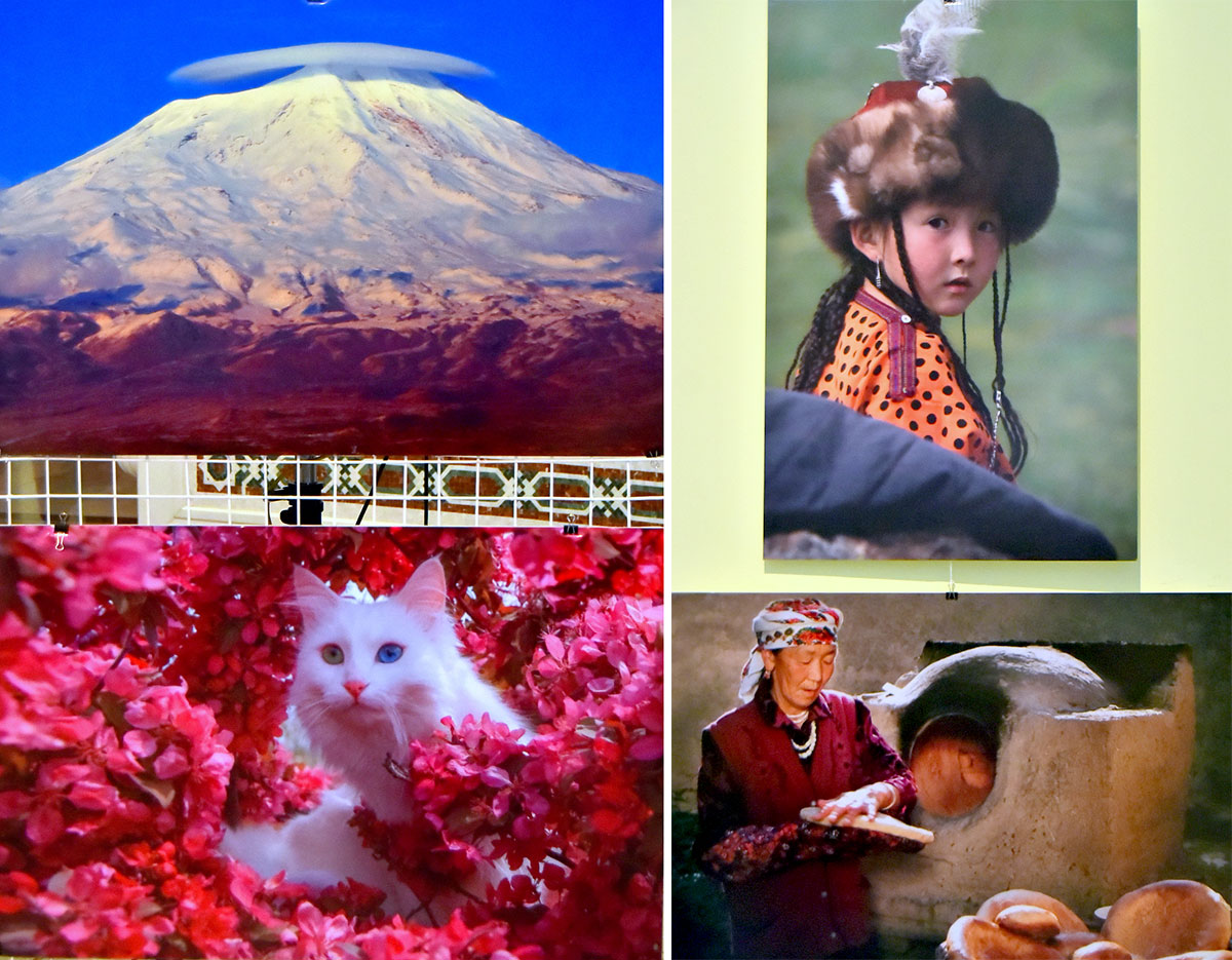 Состоялась международная фотовыставка, посвящённая 25-летию нейтралитета страны