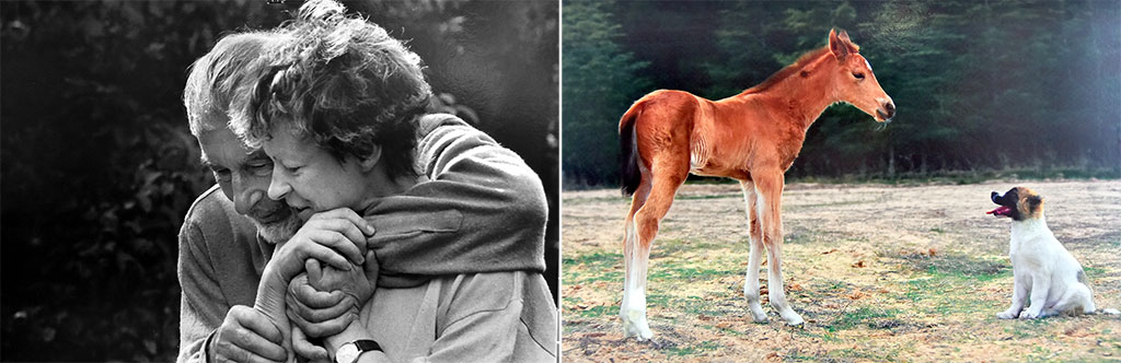 Жизнь в объективе: взгляд сквозь призму фотоискусства 
