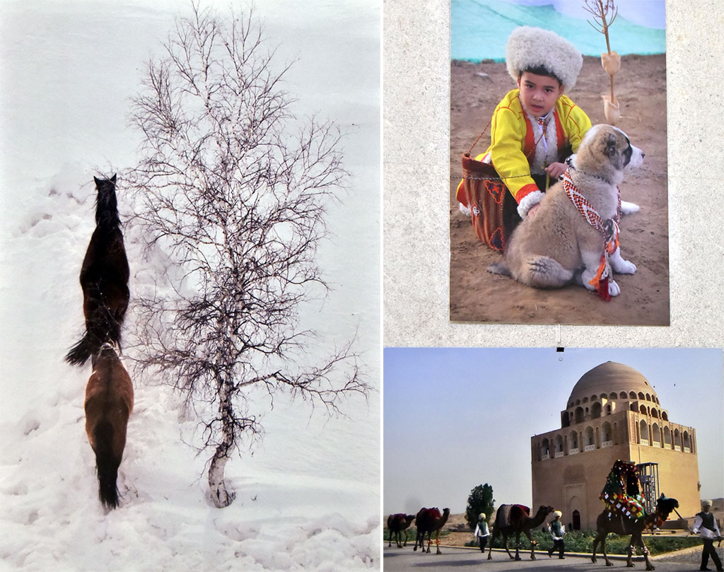 Жизнь в объективе: взгляд сквозь призму фотоискусства 