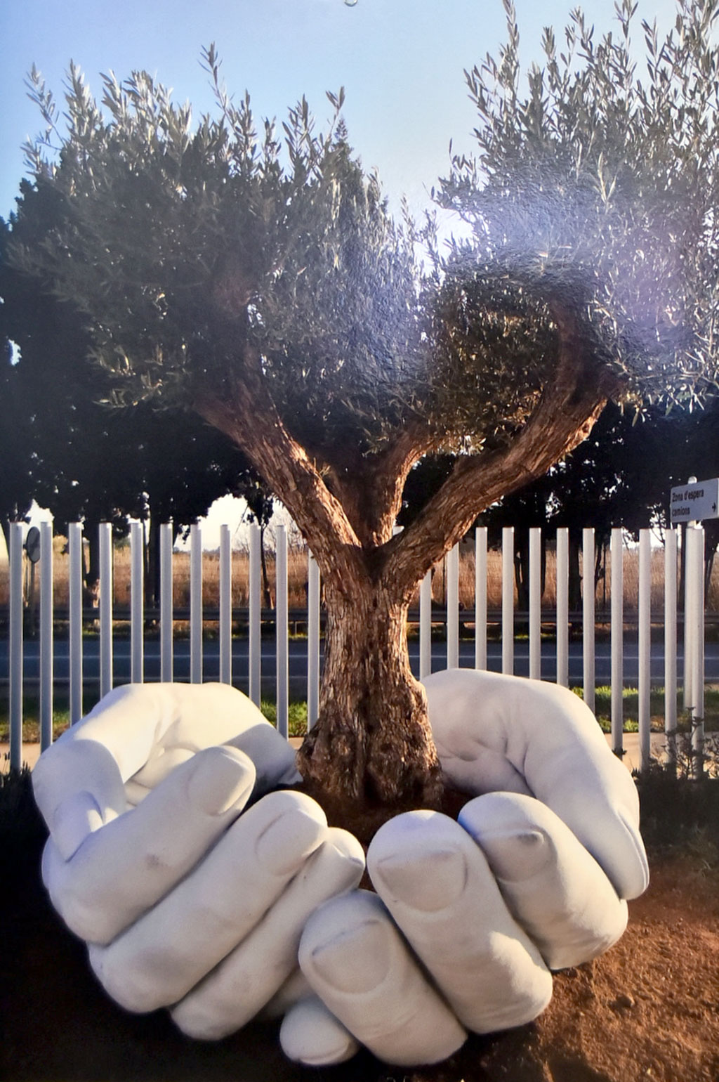 Fotosurat  sungaty arkaly durmuşa garaýyş 