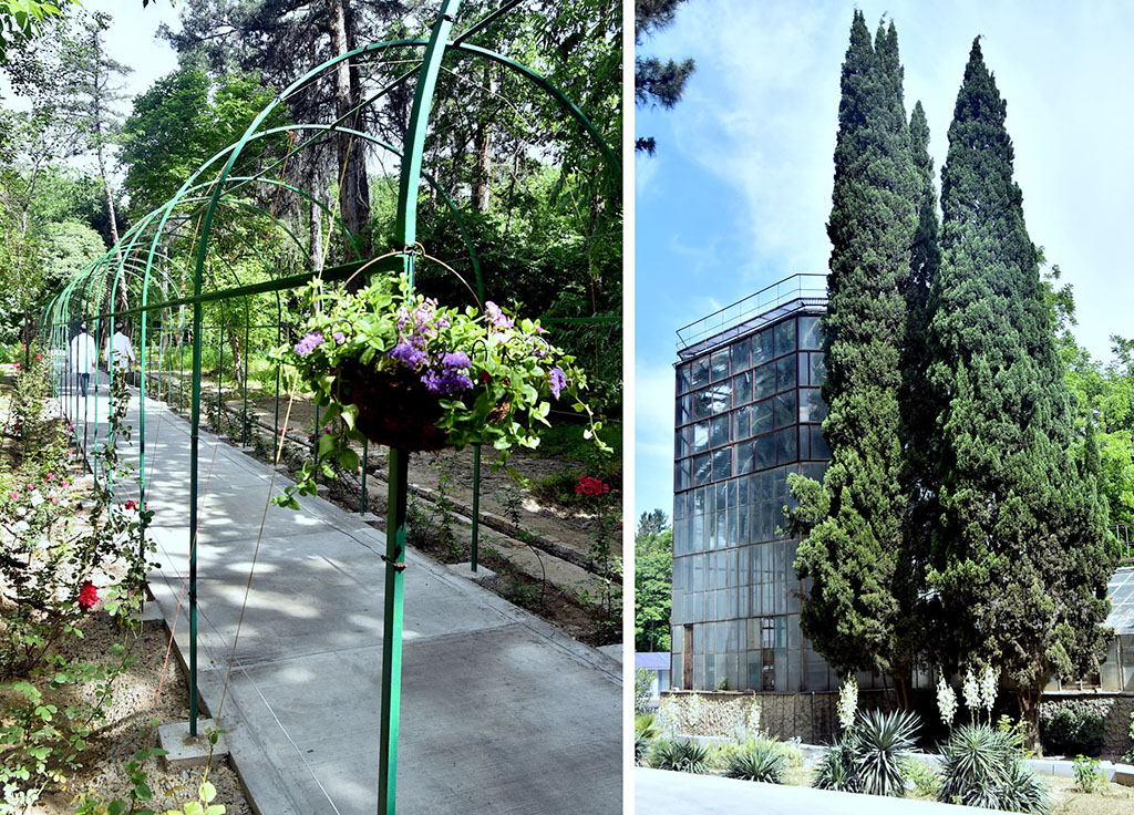 Зелёный остров в сердце Белого города: новая жизнь Ашхабадского ботанического сада 