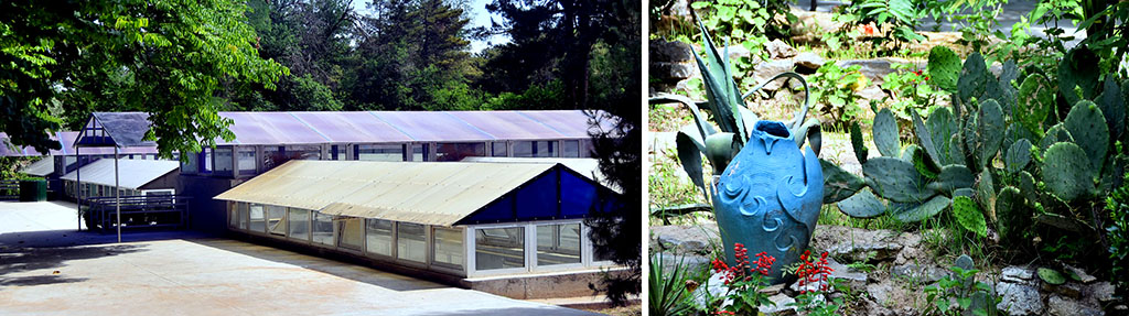 Зелёный остров в сердце Белого города: новая жизнь Ашхабадского ботанического сада 