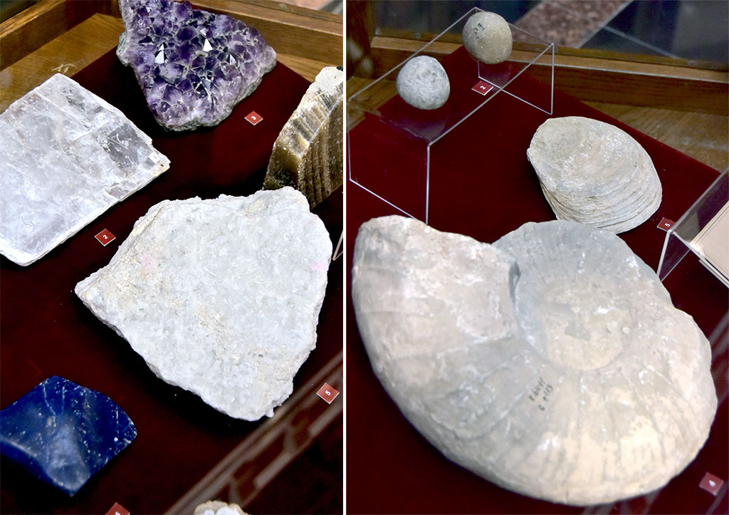 Döwlet muzeýiniň sergisi: ylmyň ösüşine syn