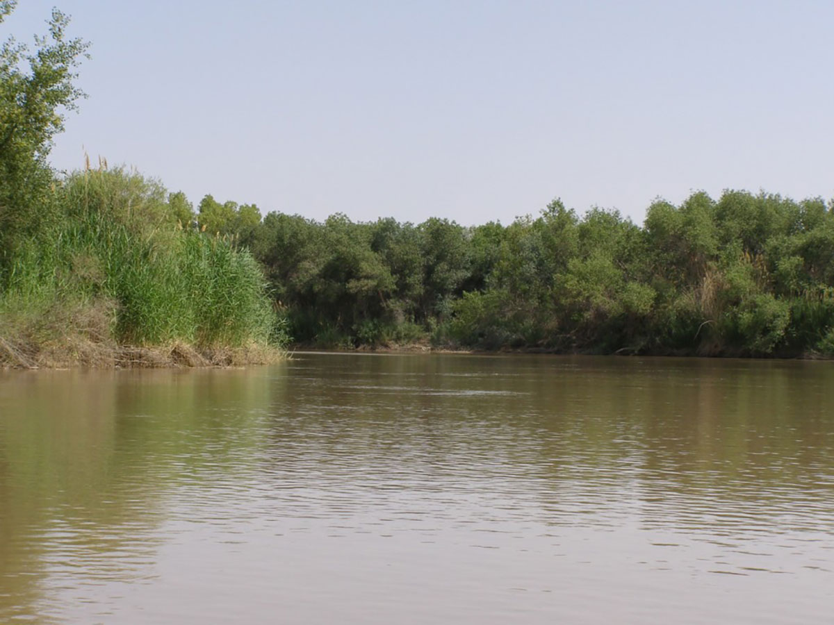 Борьба с опустыниванием: национальный опыт и экологическая дипломатия