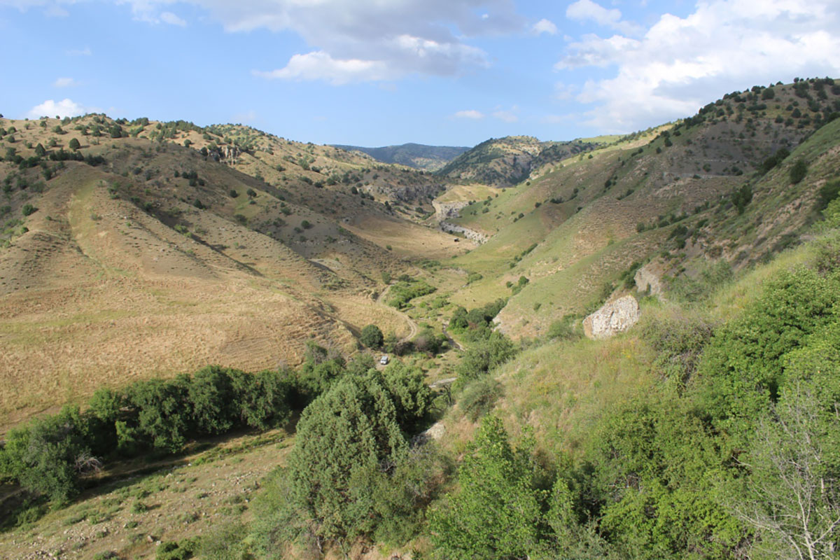 Combating against desertification: National practice and ecological diplomacy