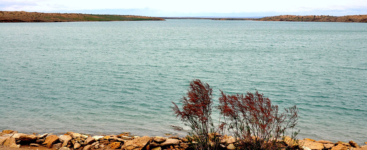 Combating against desertification: National practice and ecological diplomacy