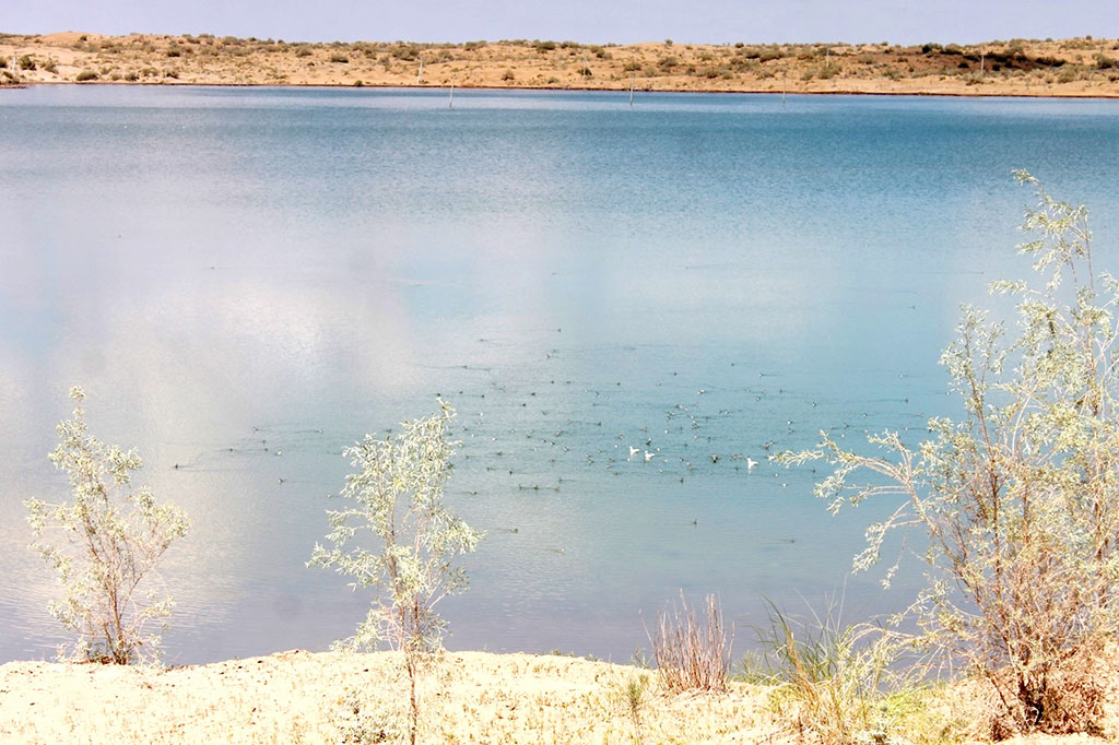 Путешествие в заповедный мир Каракумов: природные достопримечательности и немного истории  