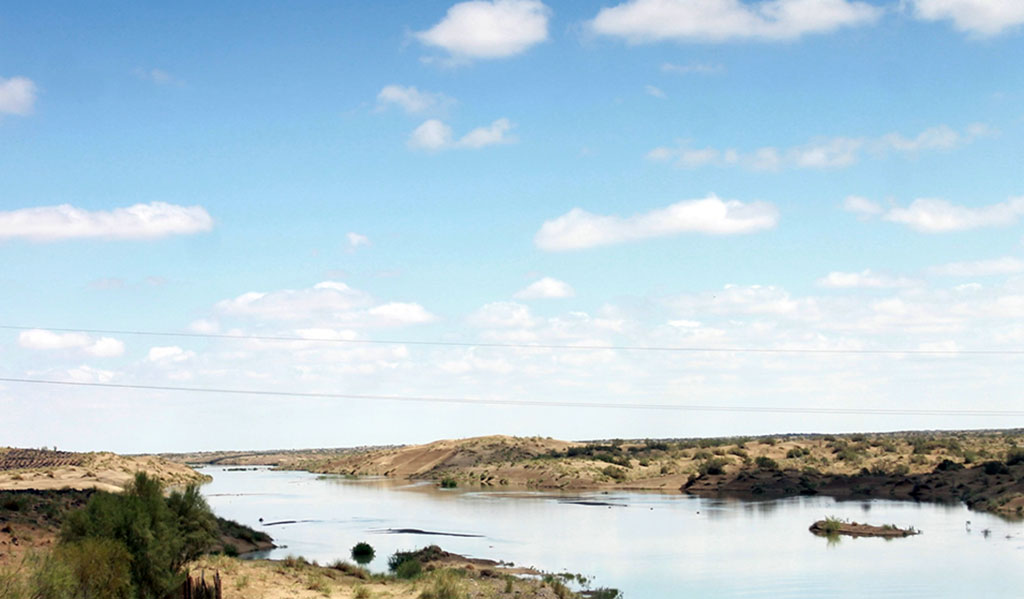 Путешествие в заповедный мир Каракумов: природные достопримечательности и немного истории  