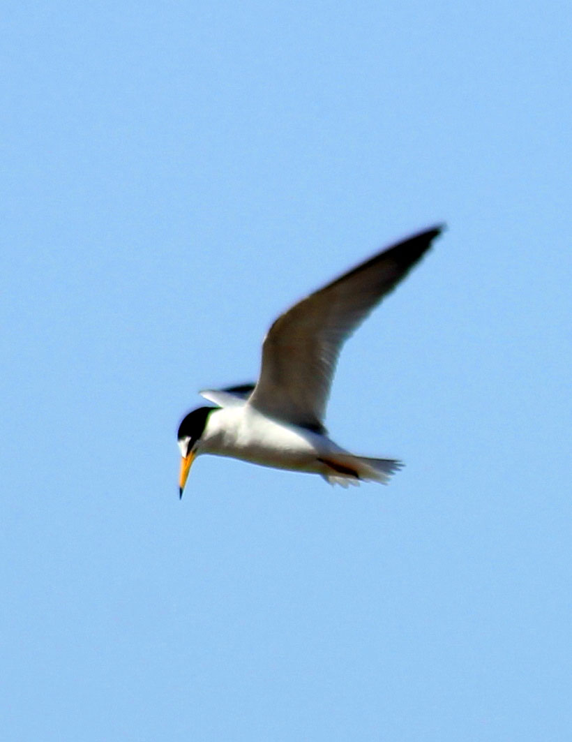 Garagumyň gözellik dünýäsine syýahat: Zeňňi baba köli