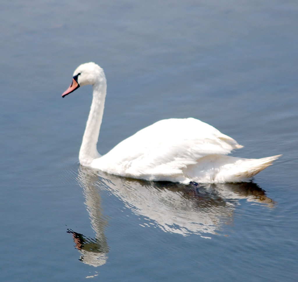 Journey to presented world of Karakum Desert: Zengi-baba Lakes