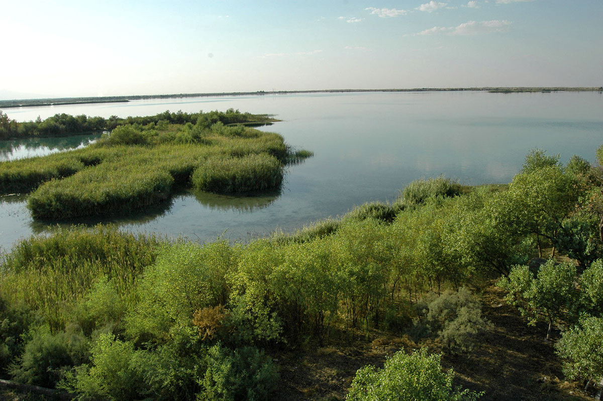 Зона отдыха и ветланд-парк: взгляд учёного на будущее озера «Altyn köl»