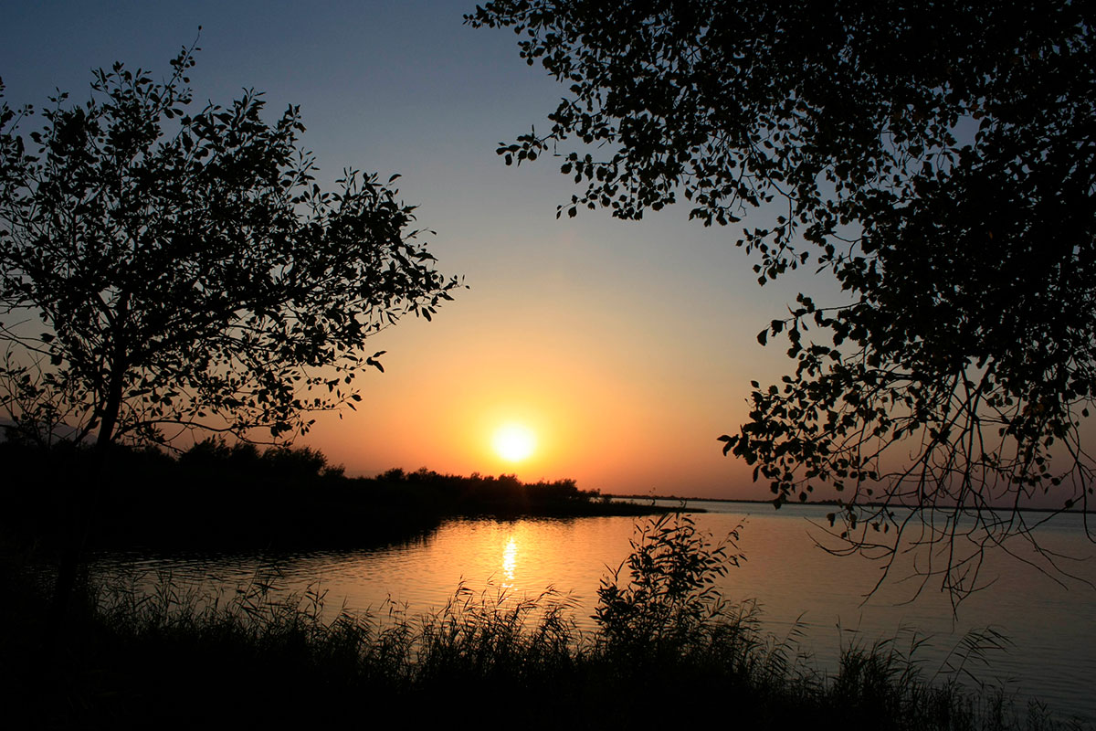 Зона отдыха и ветланд-парк: взгляд учёного на будущее озера «Altyn köl»