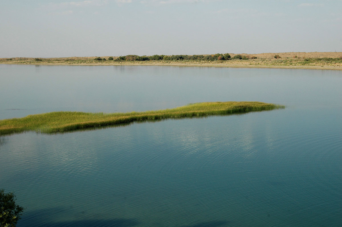 Зона отдыха и ветланд-парк: взгляд учёного на будущее озера «Altyn köl»