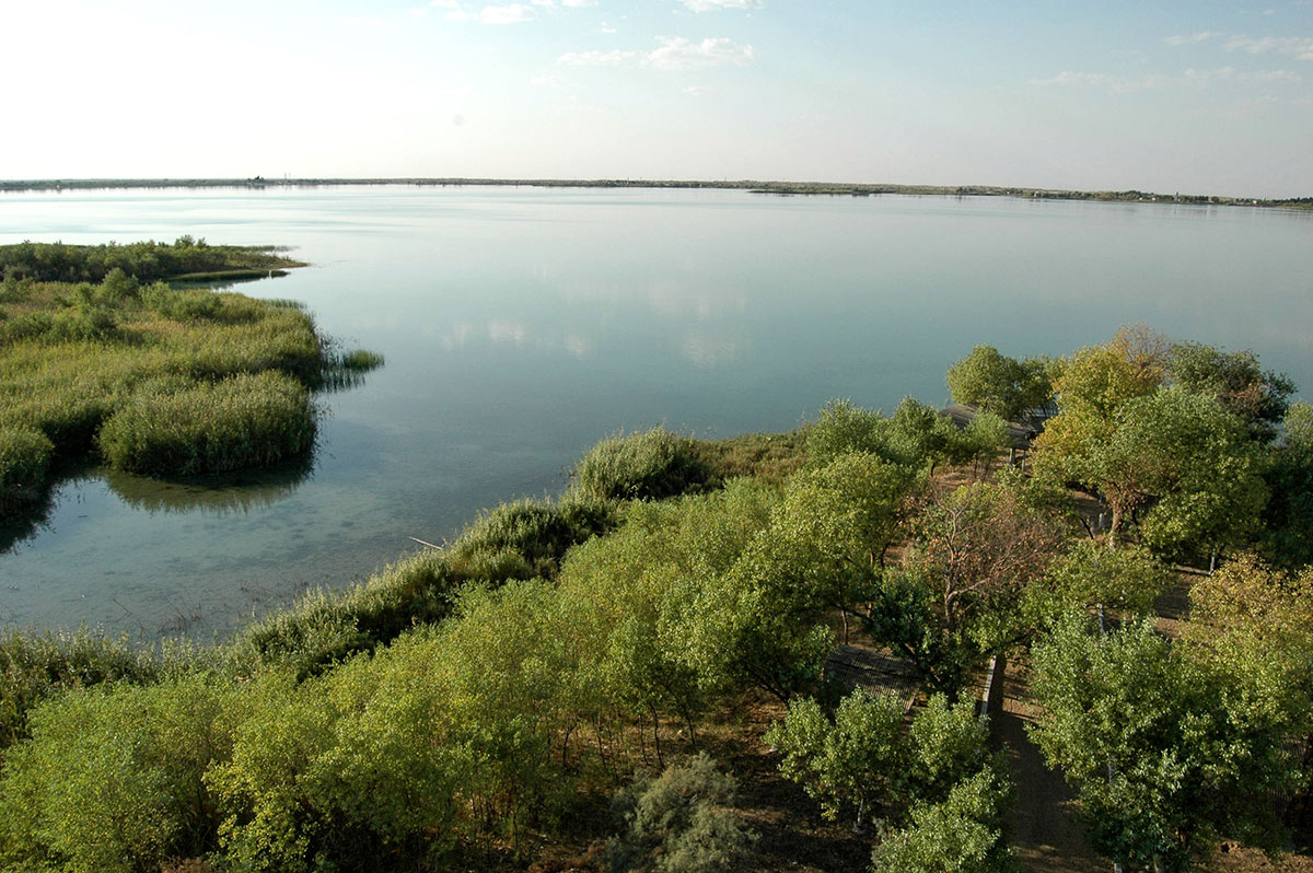 Dynç alyş zolagy we wetland-seýilgäh: «Altyn kölüň» geljegine alymyň garaýşy