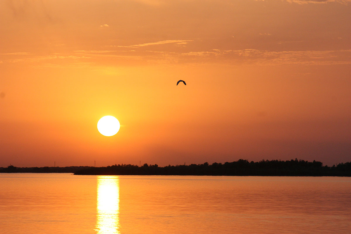 Dynç alyş zolagy we wetland-seýilgäh: «Altyn kölüň» geljegine alymyň garaýşy