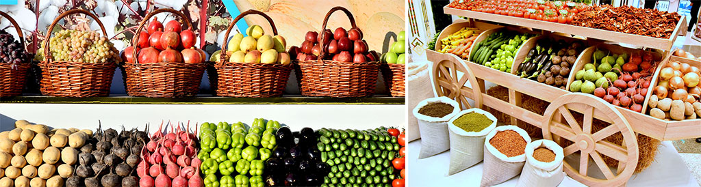 Factors of sustainable development: Provision of food abundance