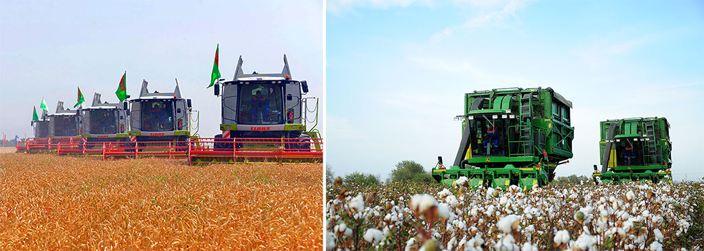 Factors of sustainable development: Provision of food abundance