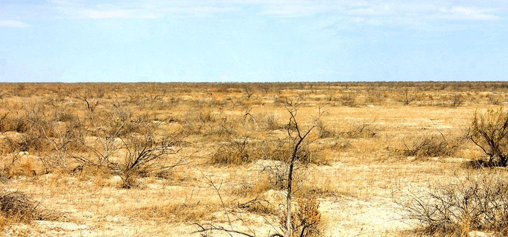 Путешествие в заповедный мир туркменской природы: заказник Сарыкамыш