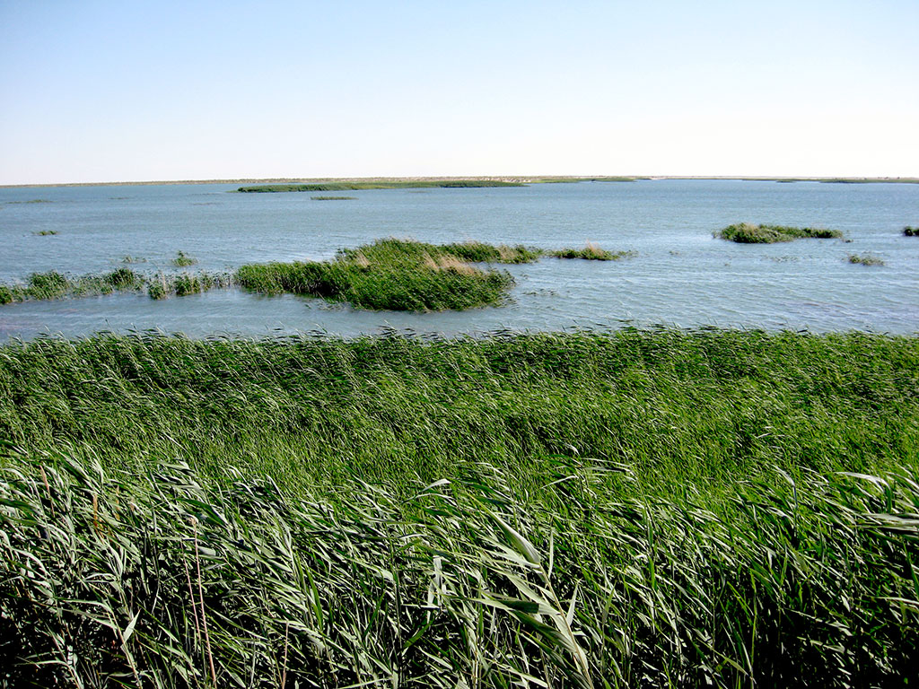 Векторы экологической политики: национальные интересы и международное сотрудничество 