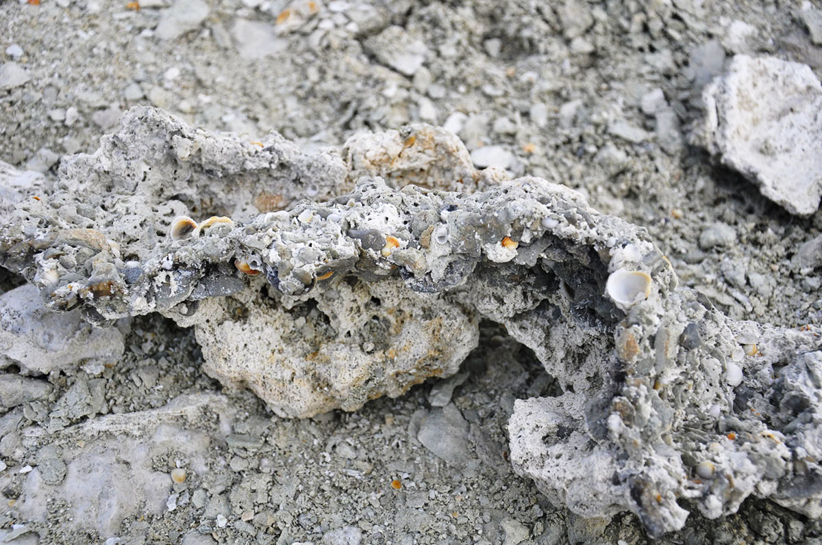 Гарабогазгол: неисчерпаемые богатства залива