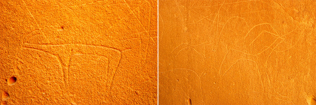 Путешествие по Западному Копетдагу: следы доисторических животных, петроглифы, природные крепости