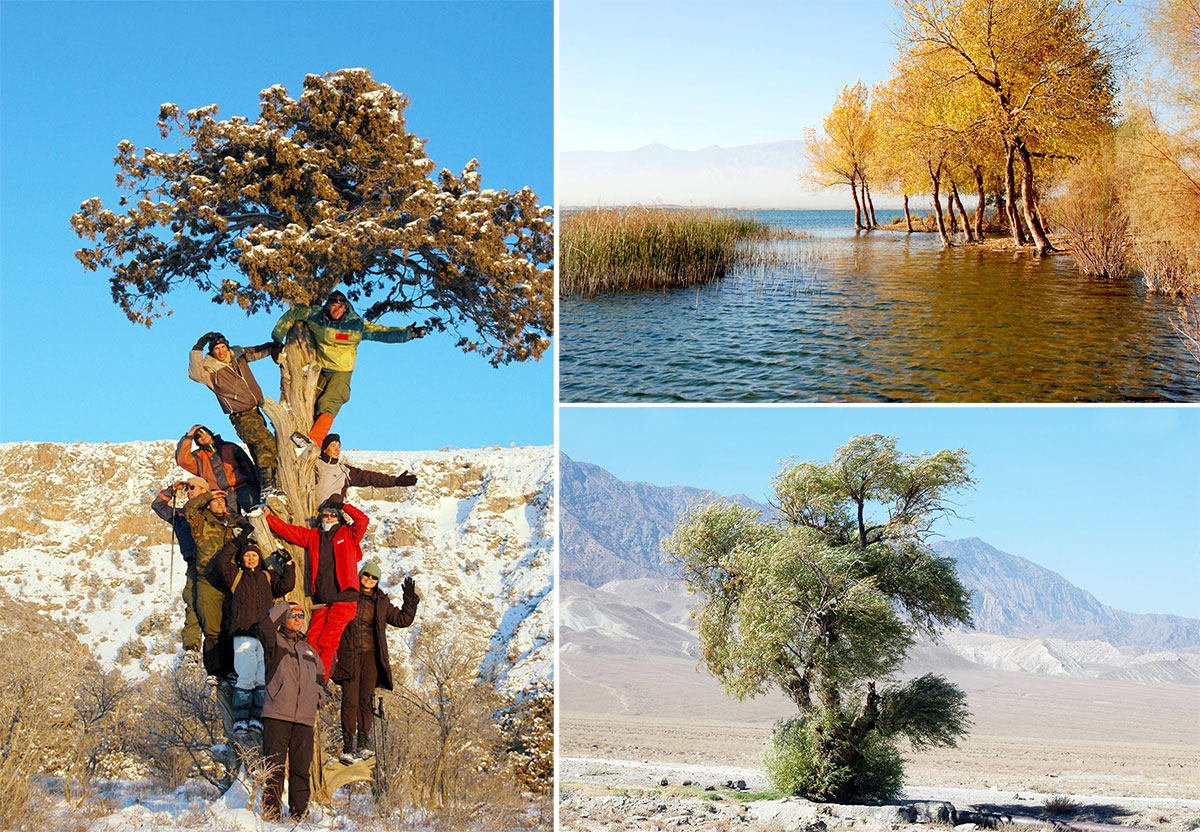 По ту сторону объектива: жизнь в фотографии 