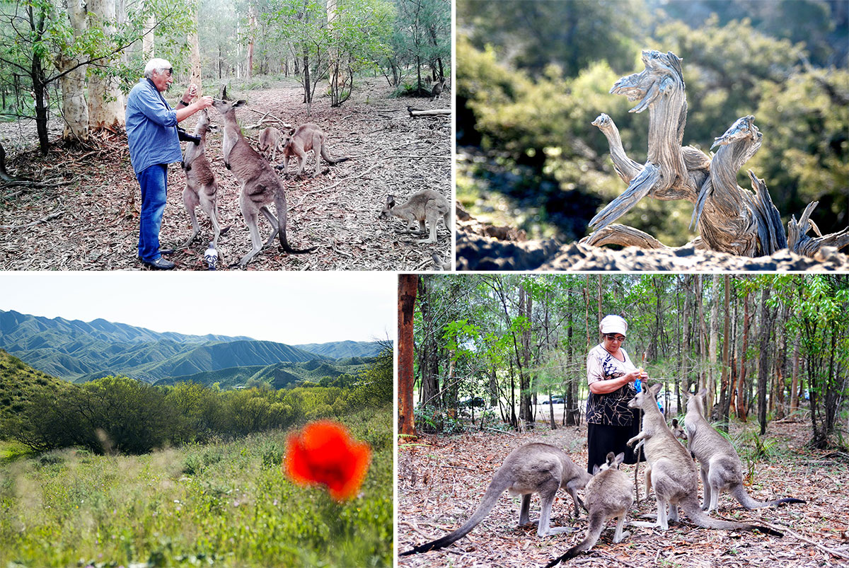 По ту сторону объектива: жизнь в фотографии 