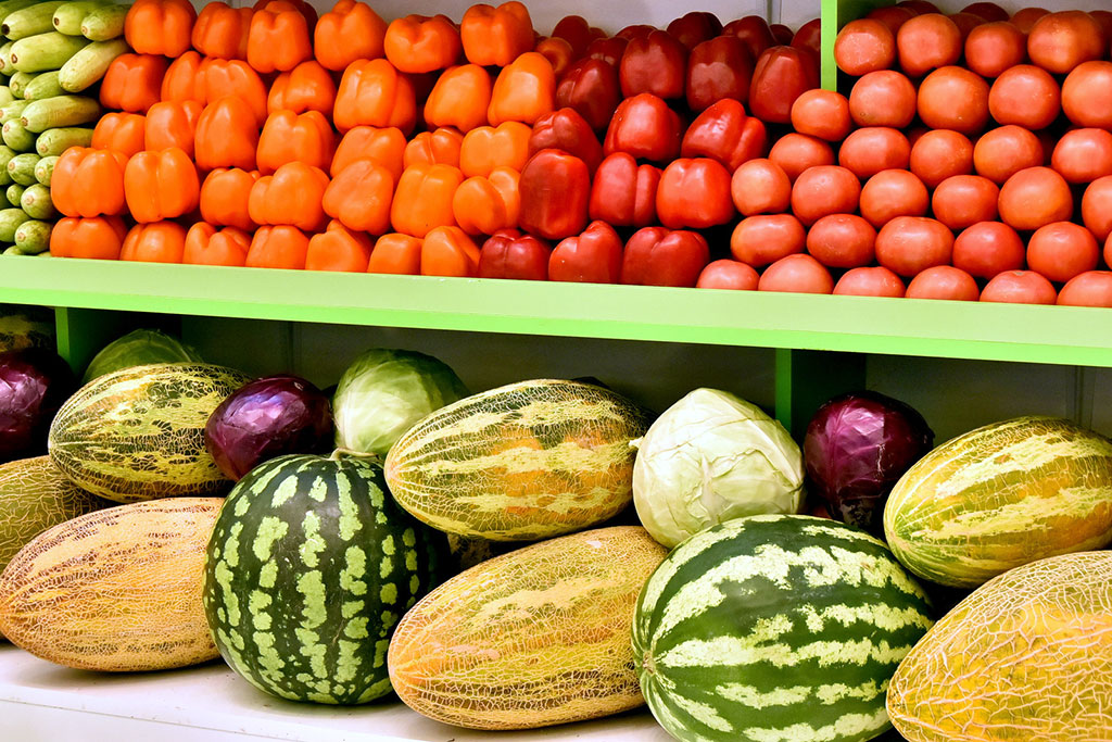Ýurdumyzyň sebitlerini we oba hojalygyny ösdürmegiň wezipeleri ara alnyp maslahatlaşyldy