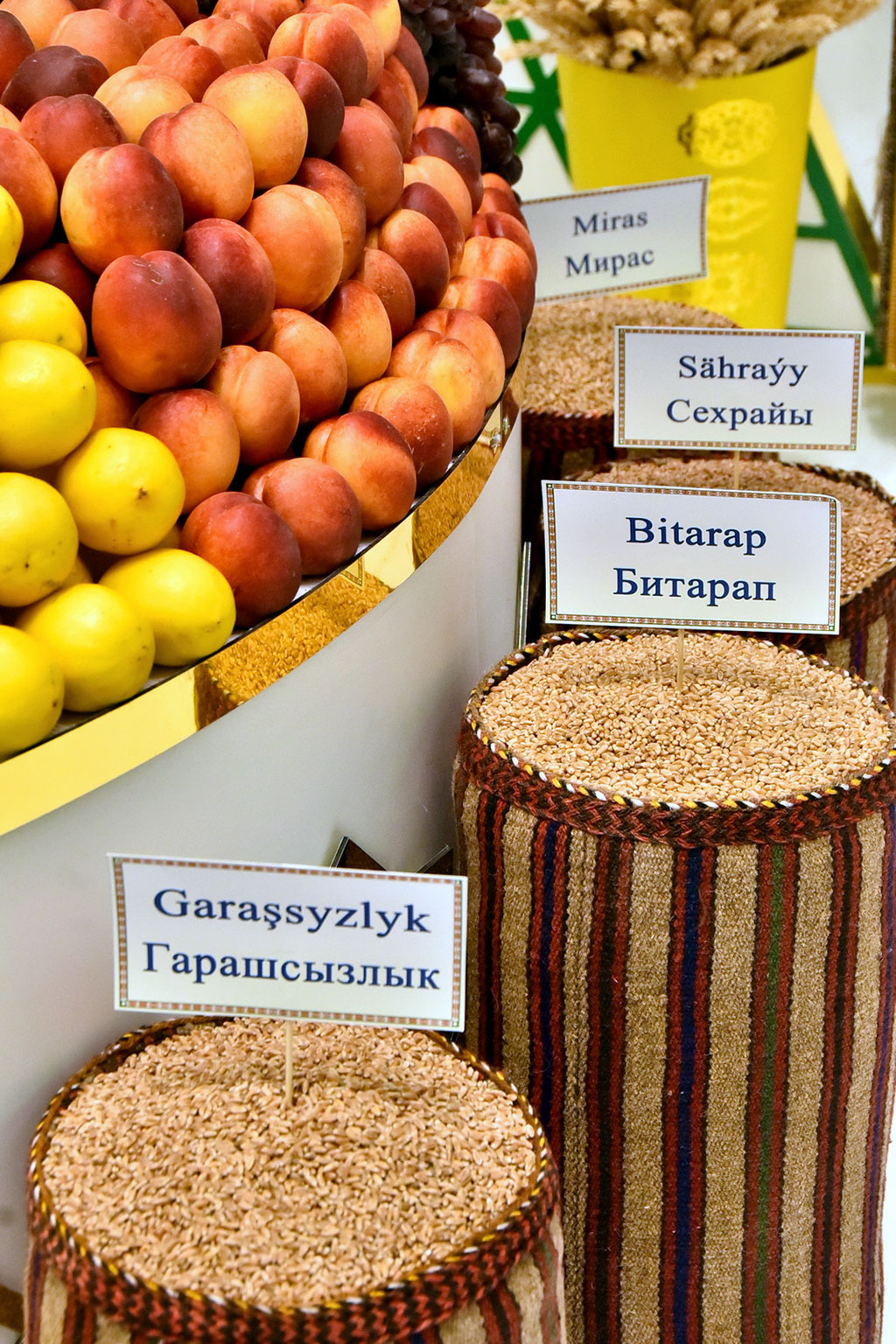 Ýurdumyzyň sebitlerini we oba hojalygyny ösdürmegiň wezipeleri ara alnyp maslahatlaşyldy