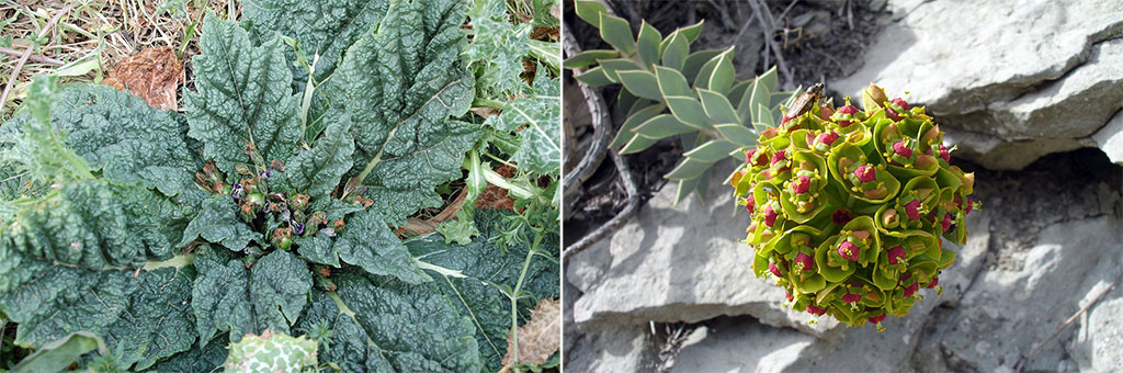 Заповедные уголки туркменской природы: путешествие в Сумбарскую долину 