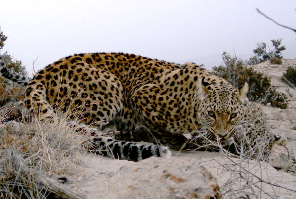 Заповедные уголки туркменской природы: путешествие в Сумбарскую долину 
