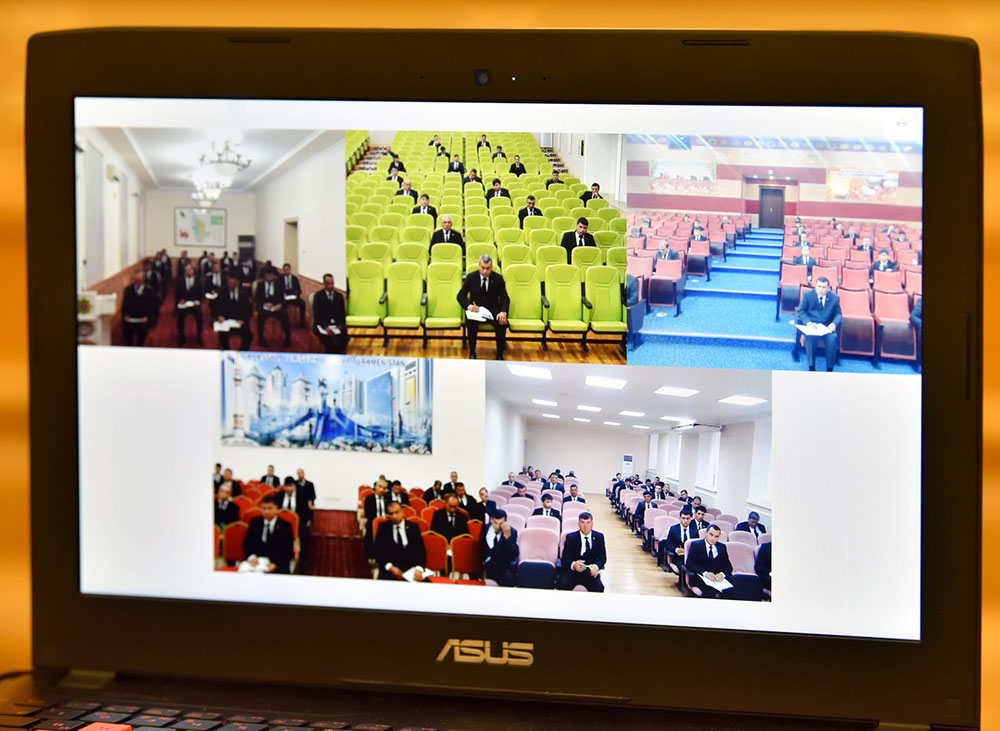 Создана Международная ассоциация «Туркменские алабаи» 