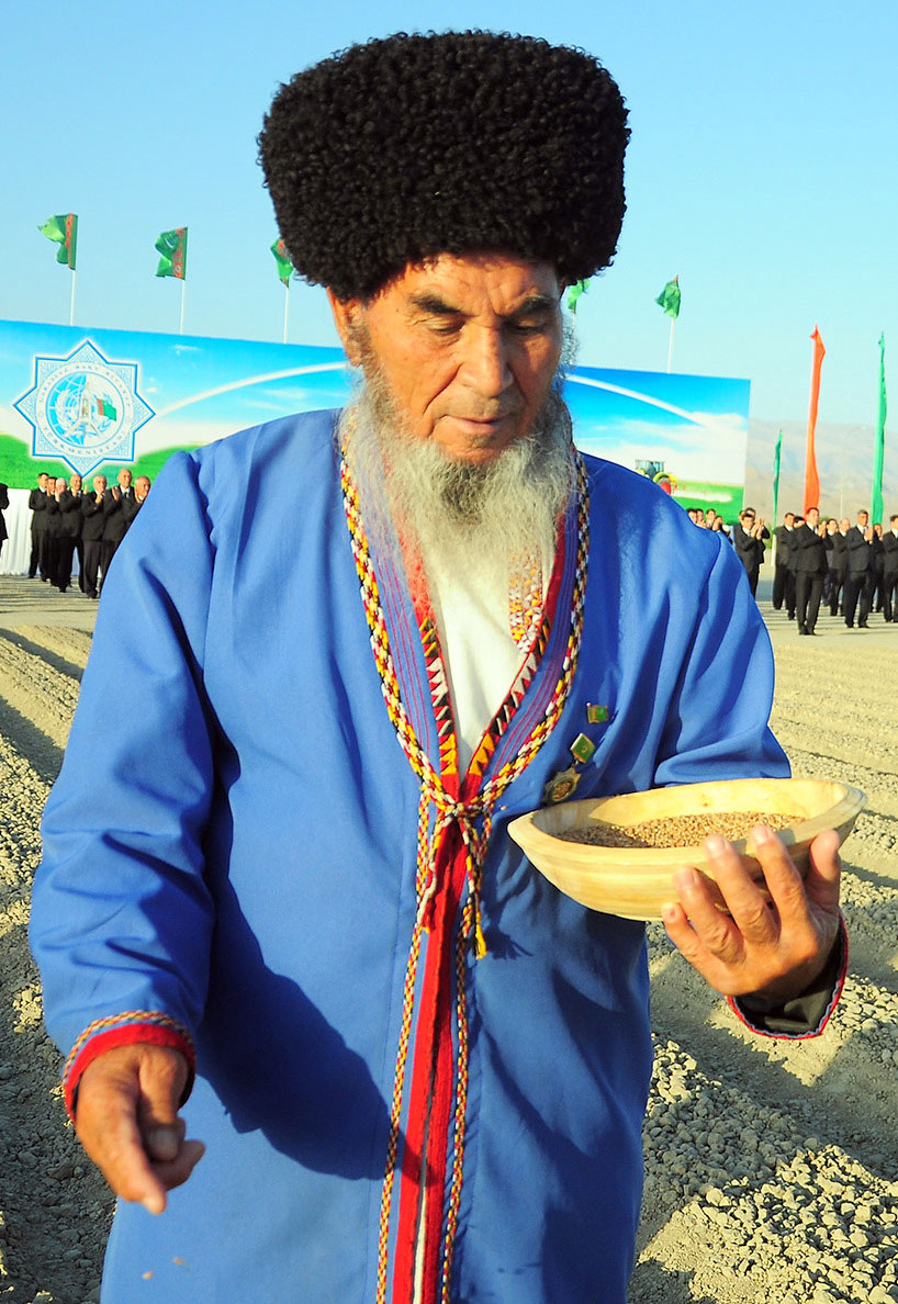 Стартовала посевная озимой пшеницы