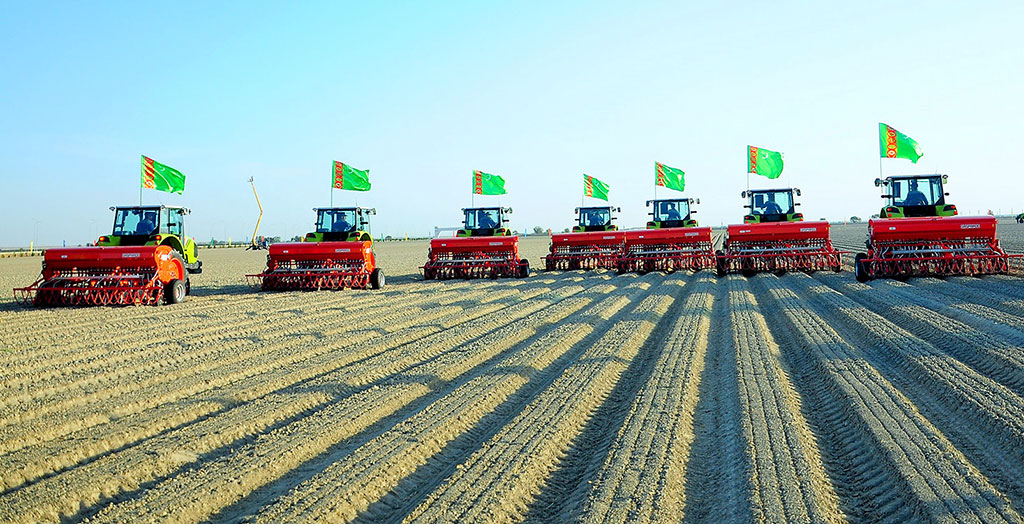 Türkmenistanda güýzlük bugdaý ekişine badalga berildi
