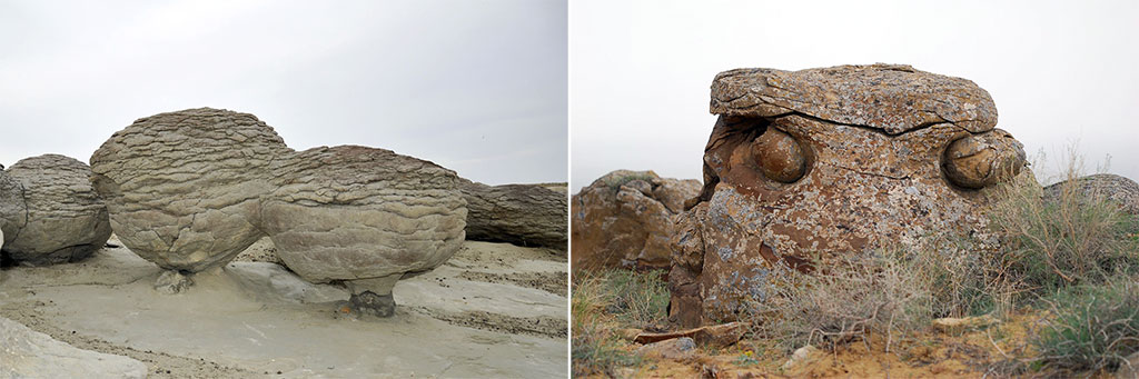 Preserved places of Turkmen nature: from Yaskhan Lake to canyons of Eatstern Carabogaz Region