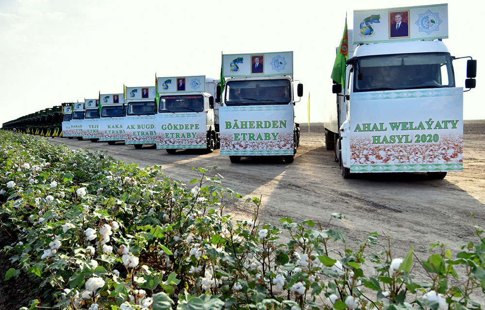 “Ak kerweniň” ak ýoly