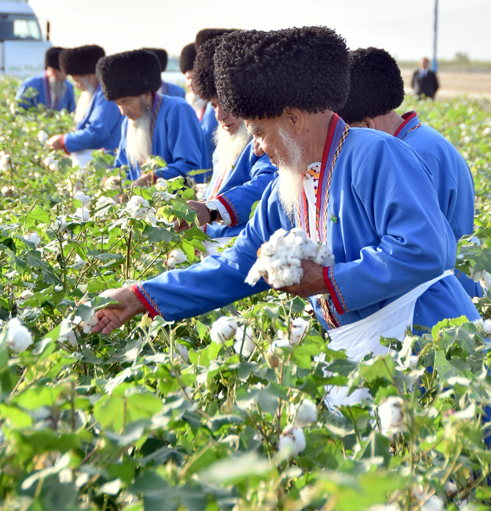 “Ak kerweniň” ak ýoly