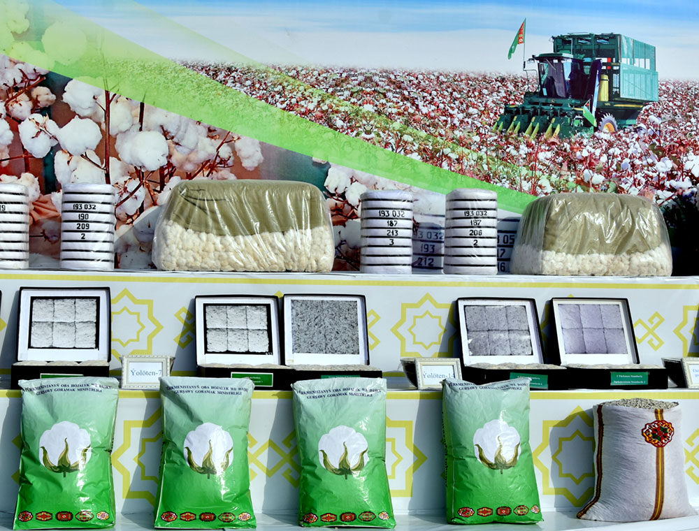 “Ak kerweniň” ak ýoly