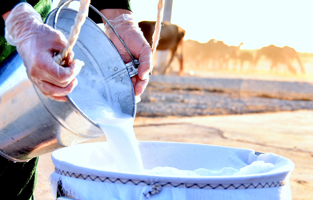  Düýedarçylyk: ýörelgeler we telekeçilik mümkinçilikleri