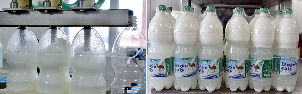  Düýedarçylyk: ýörelgeler we telekeçilik mümkinçilikleri