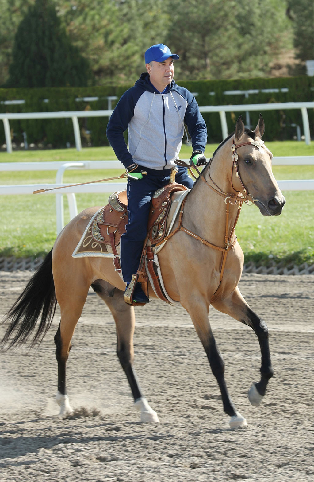 Active leisure of the President of Turkmenistan: Cycling ride, Nordic walking and visit to equestrian complex 