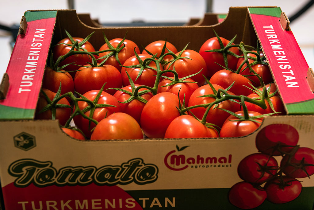 Тепличные хозяйства, инновационные методы и рабочие места