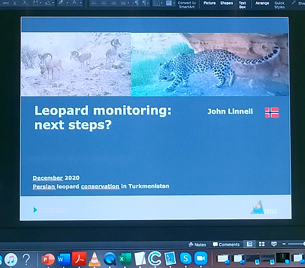 Scientists and experts focus on persian leopard