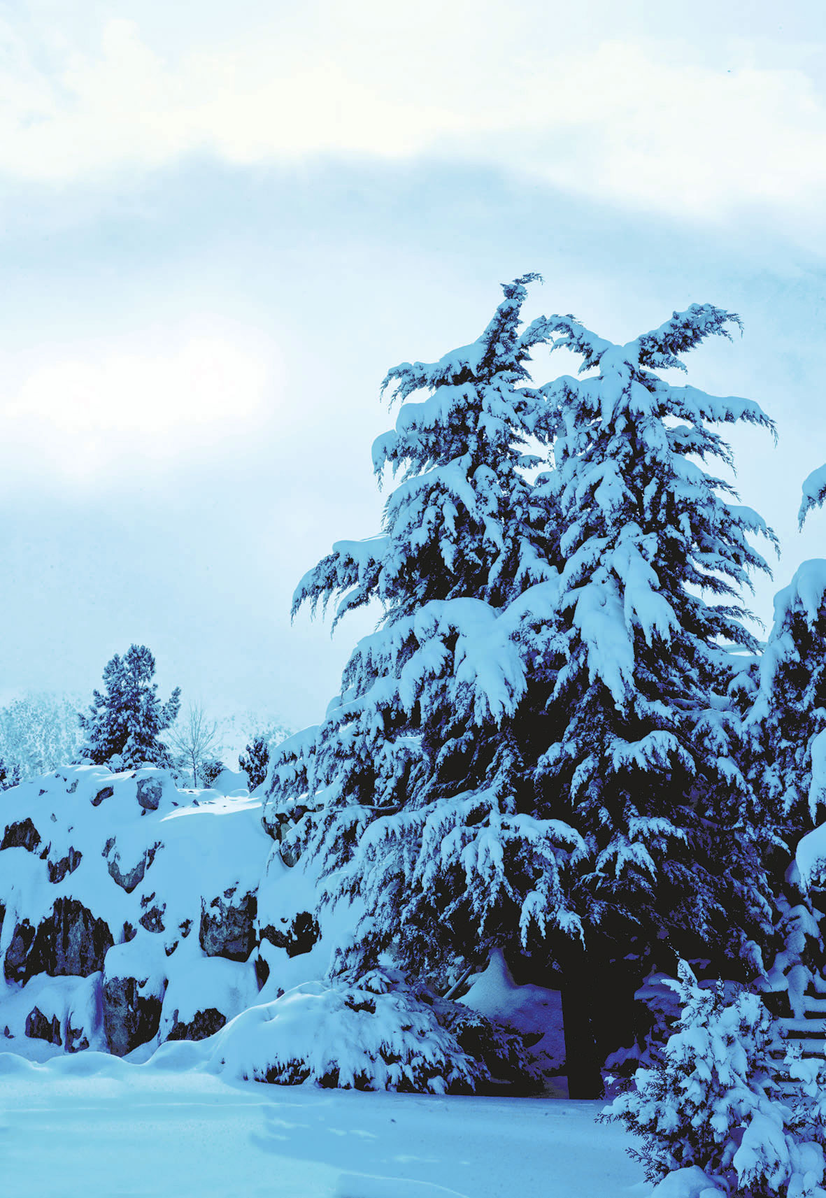 ПРЕЗИДЕНТ ГУРБАНГУЛЫ БЕРДЫМУХАМЕДОВ: Красота природы Отчизны – бесценное богатство