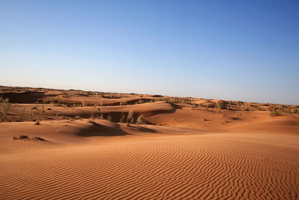 Пустынные экосистемы Туркменистана могут получить международное признание 
